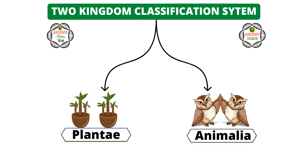 Two Kingdom classification System