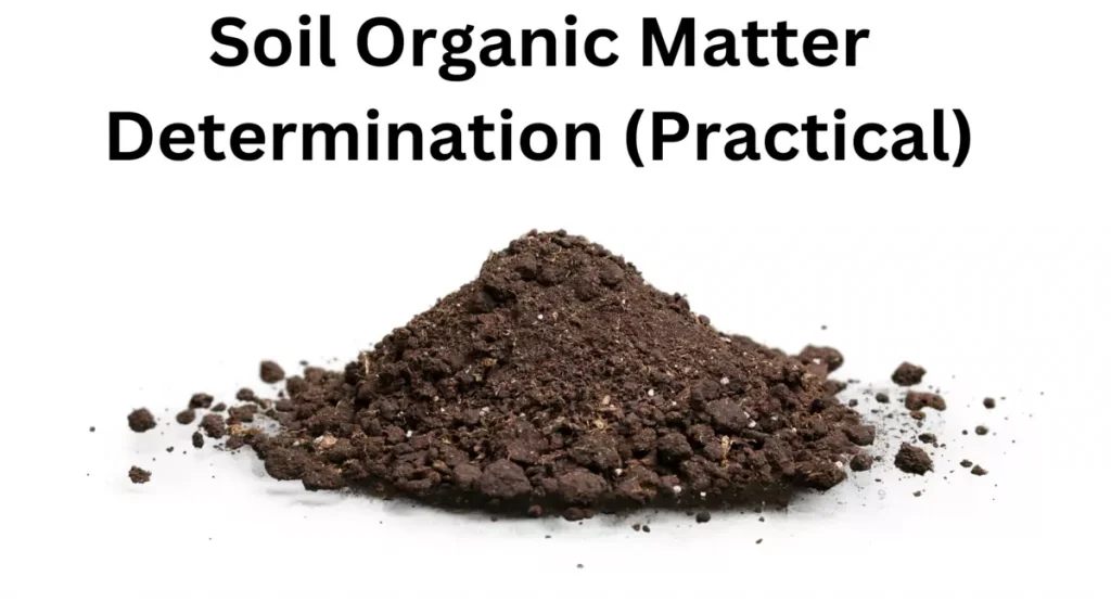Soil Organic Matter Determination