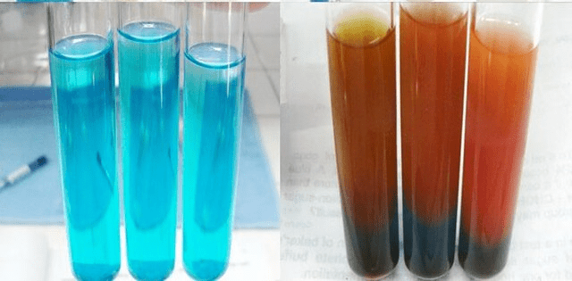 Benedict S Test Principle Preparation Procedure And Result