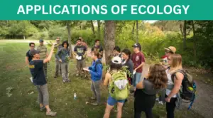 Applications of Ecology