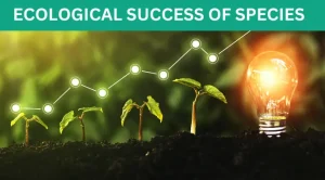Ecological success of species