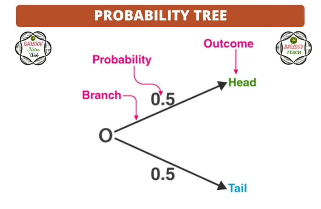 Probability Tree