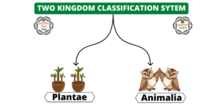 What is the Two Kingdom System of Classification? Explain.