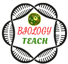BIOLOGY TEACH