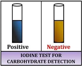 Iodine test