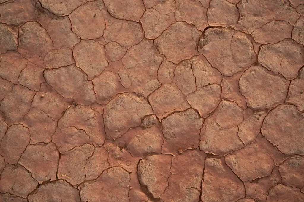Soil Texture